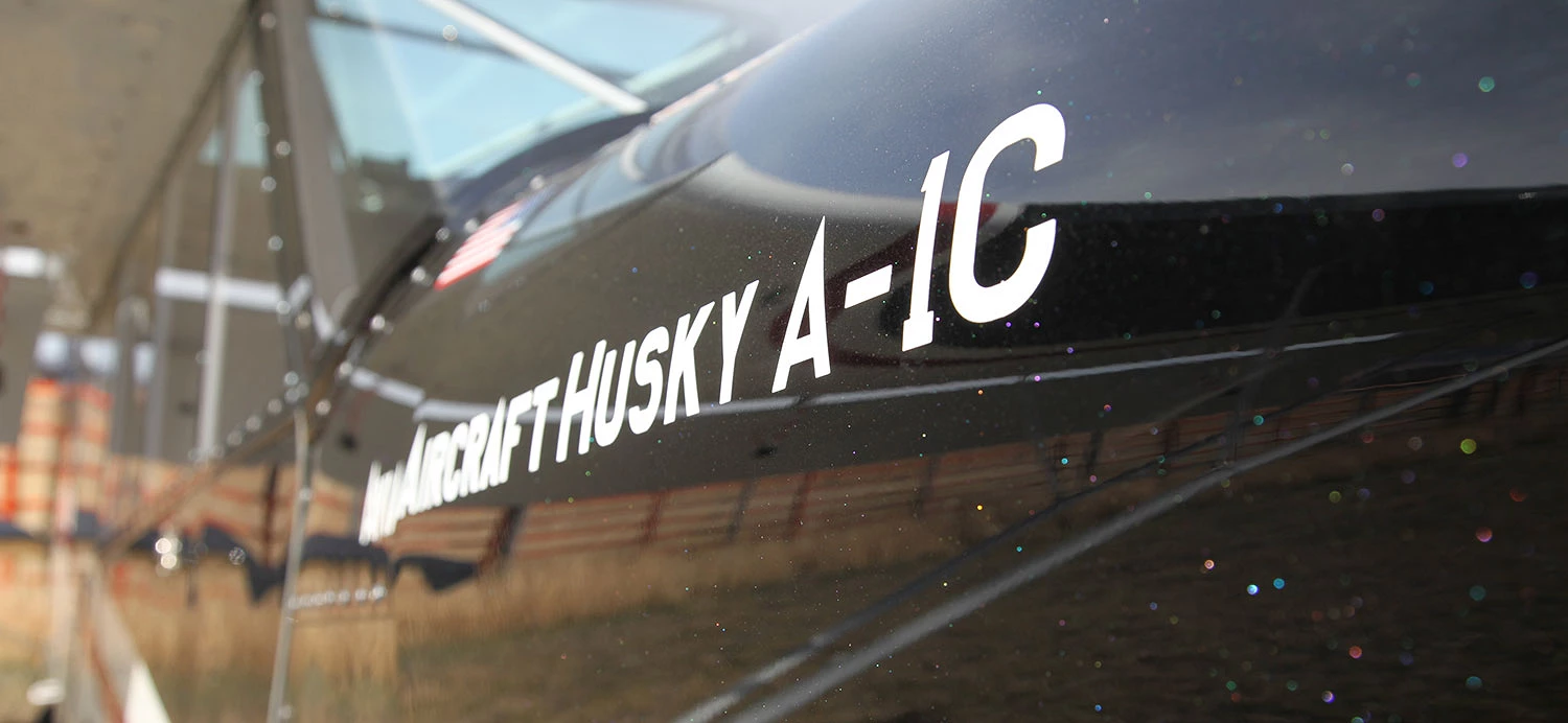 husky_means_more_sparkle_paint.jpg