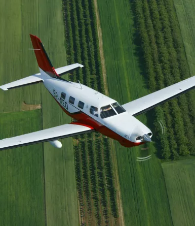 PiperM3503.JPG