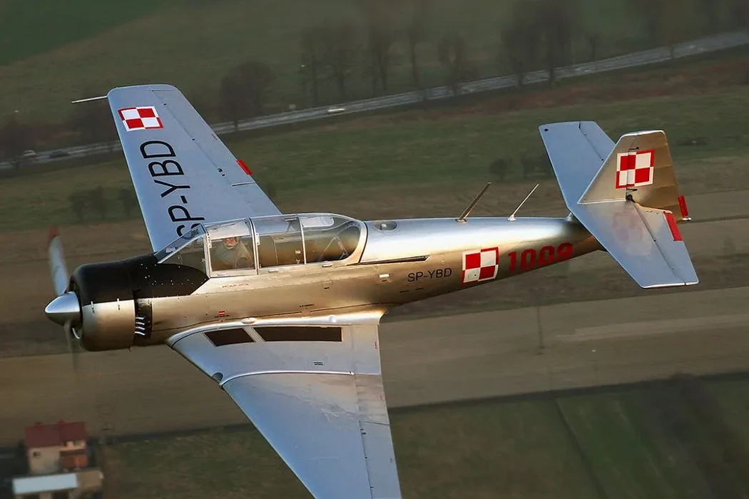 TS-8 Bies1.webp