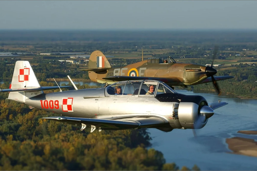 TS-8 Bies.webp