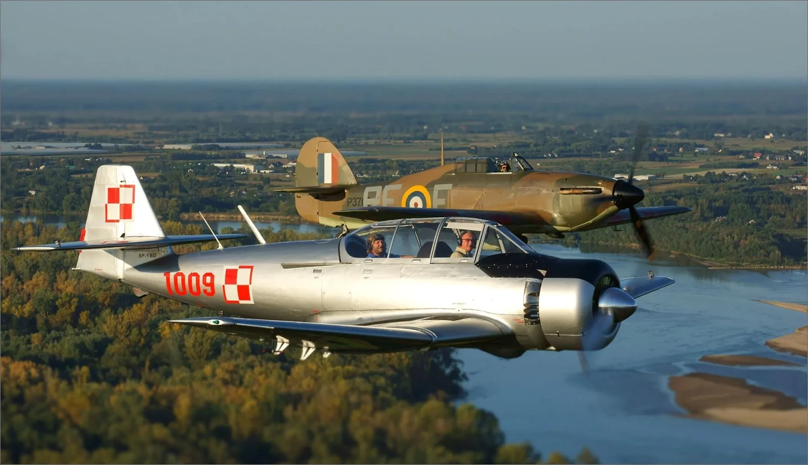 TS-8 Bies.webp