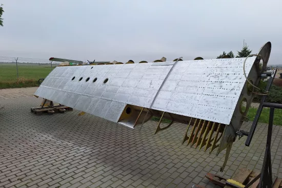 Usunięta farba ze skrzydła lewego.jpg
