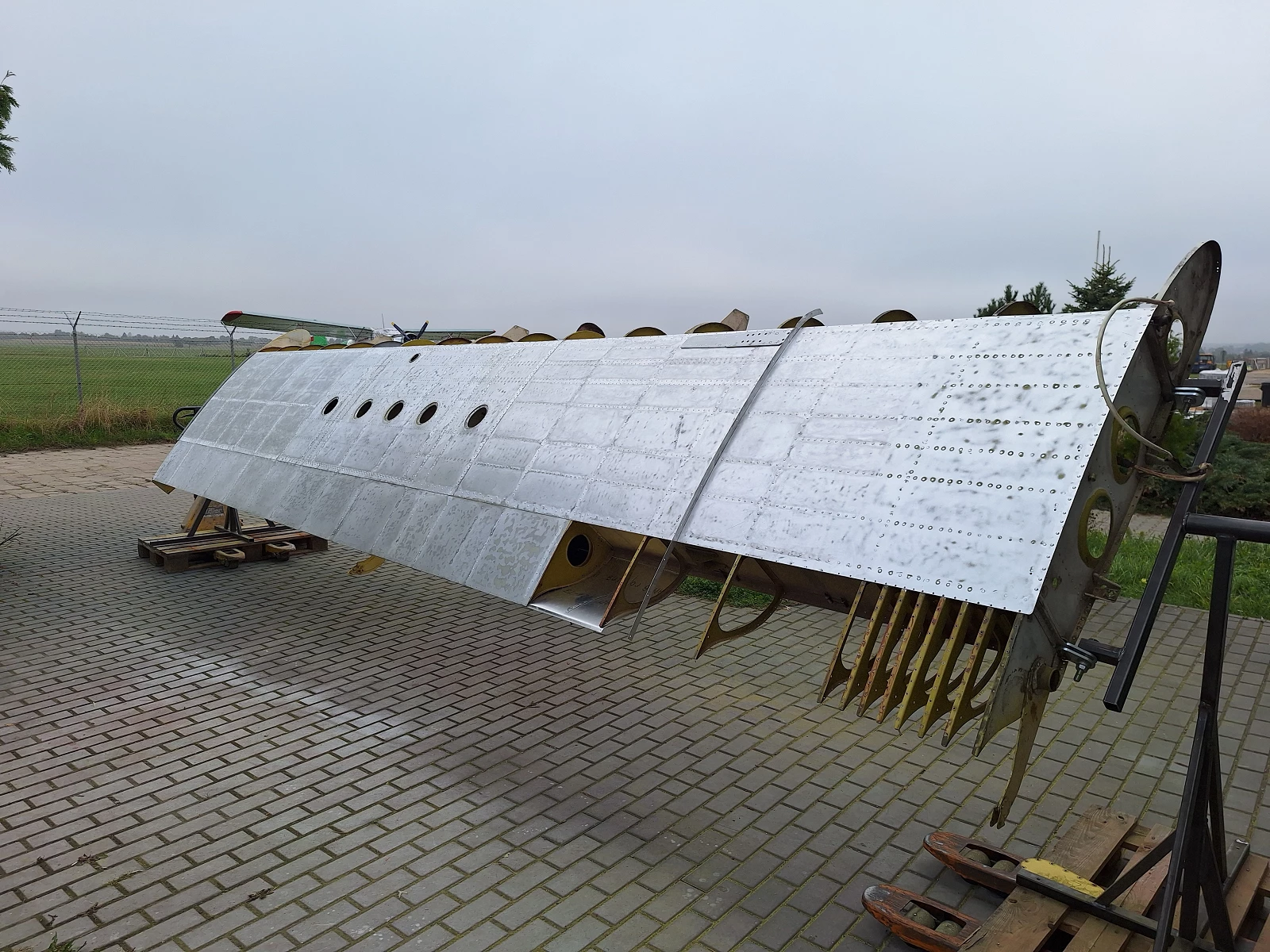 Usunięta farba ze skrzydła lewego.jpg