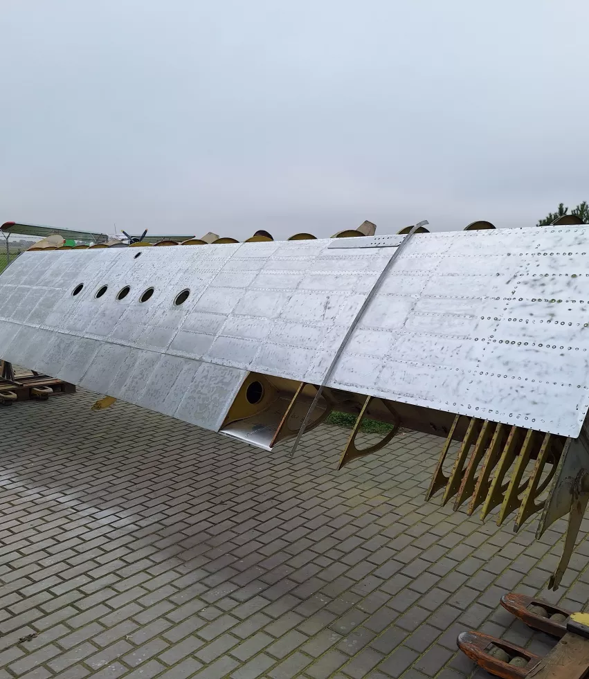 Usunięta farba ze skrzydła lewego.jpg