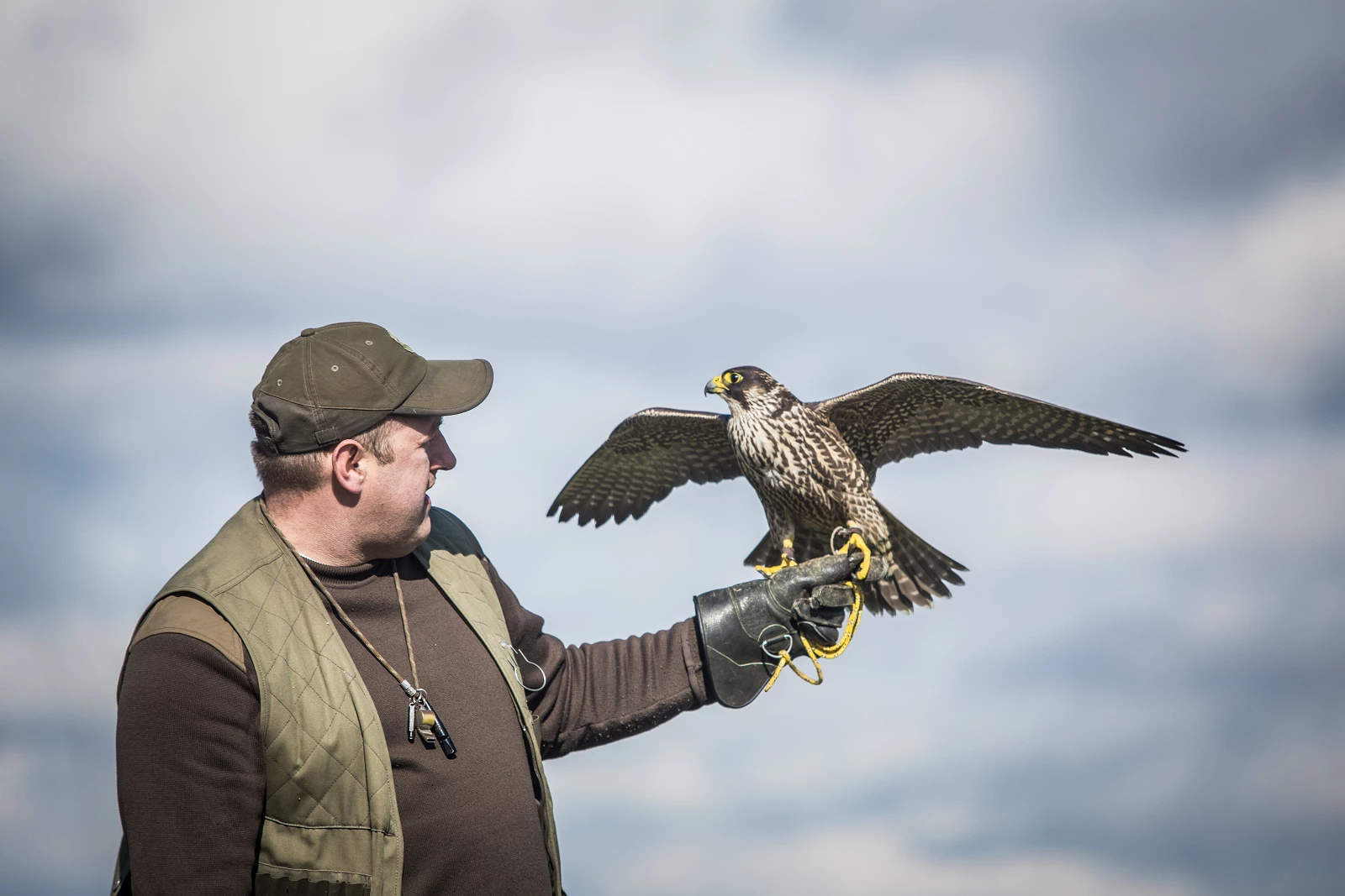 IMG_1748.jpg [7.16 MB]