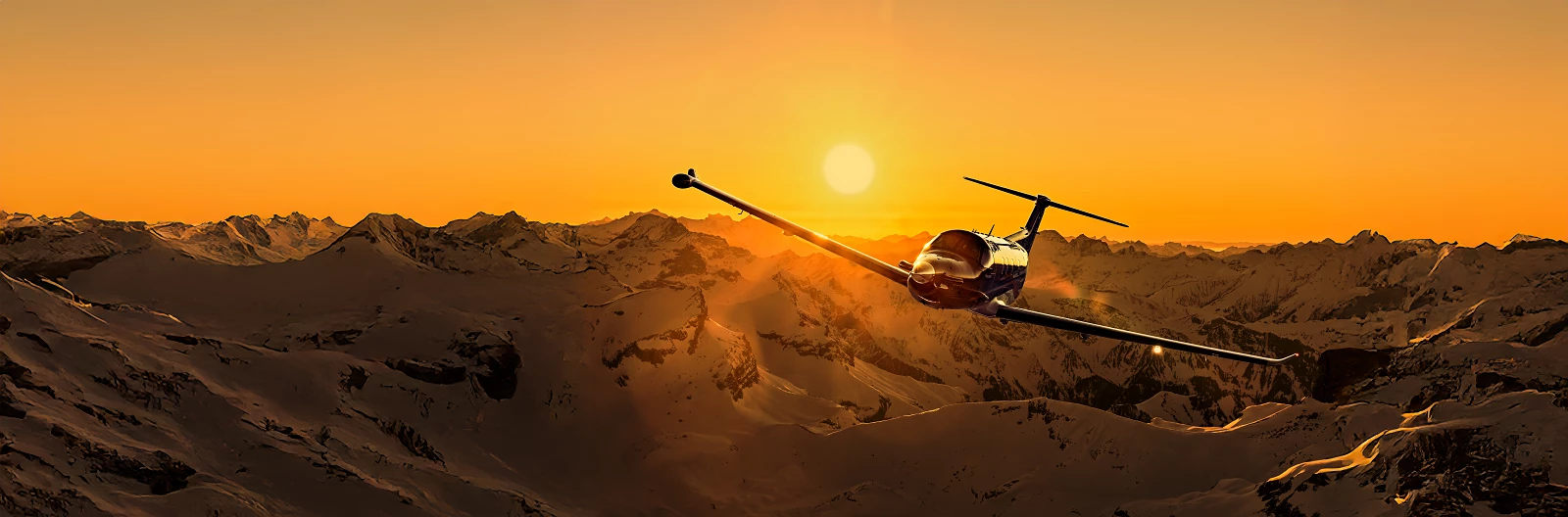 PC-12 PRO Swiss Alps II.jpg