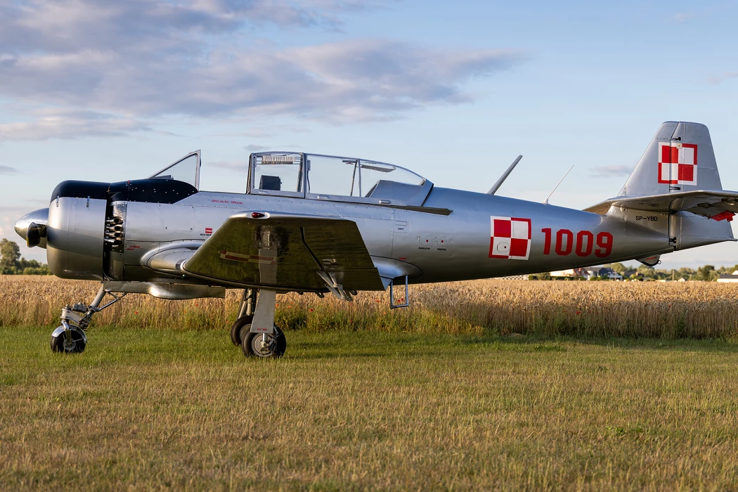 TS8_20240702_8507.jpg