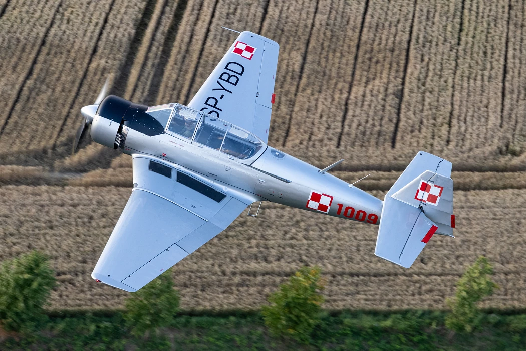 TS8_20240702_8405.jpg