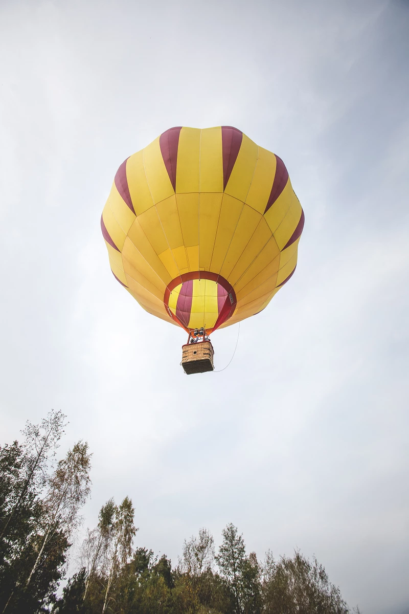 IMG_3710.jpg [5.38 MB]